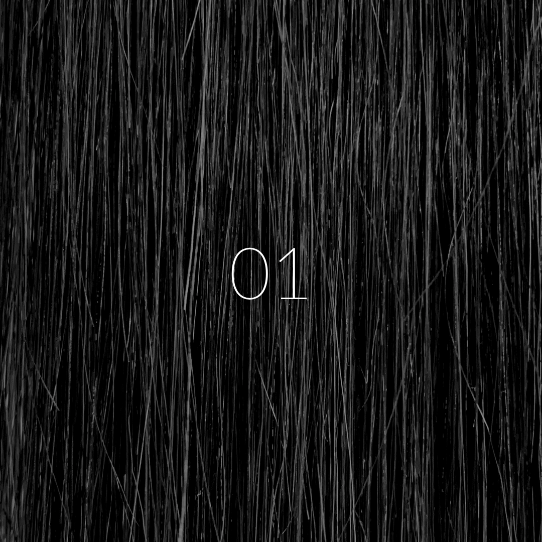 #color_no.-01