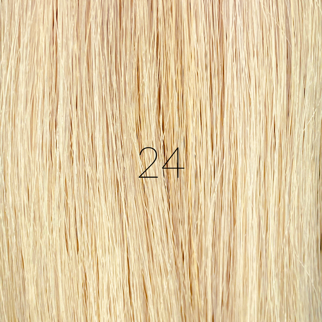 #color_no.-24
