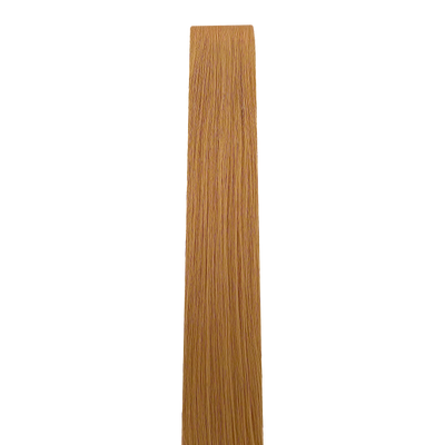 40 cm | Invisible Tape Extensions | No. 14  dunkelblond-gold