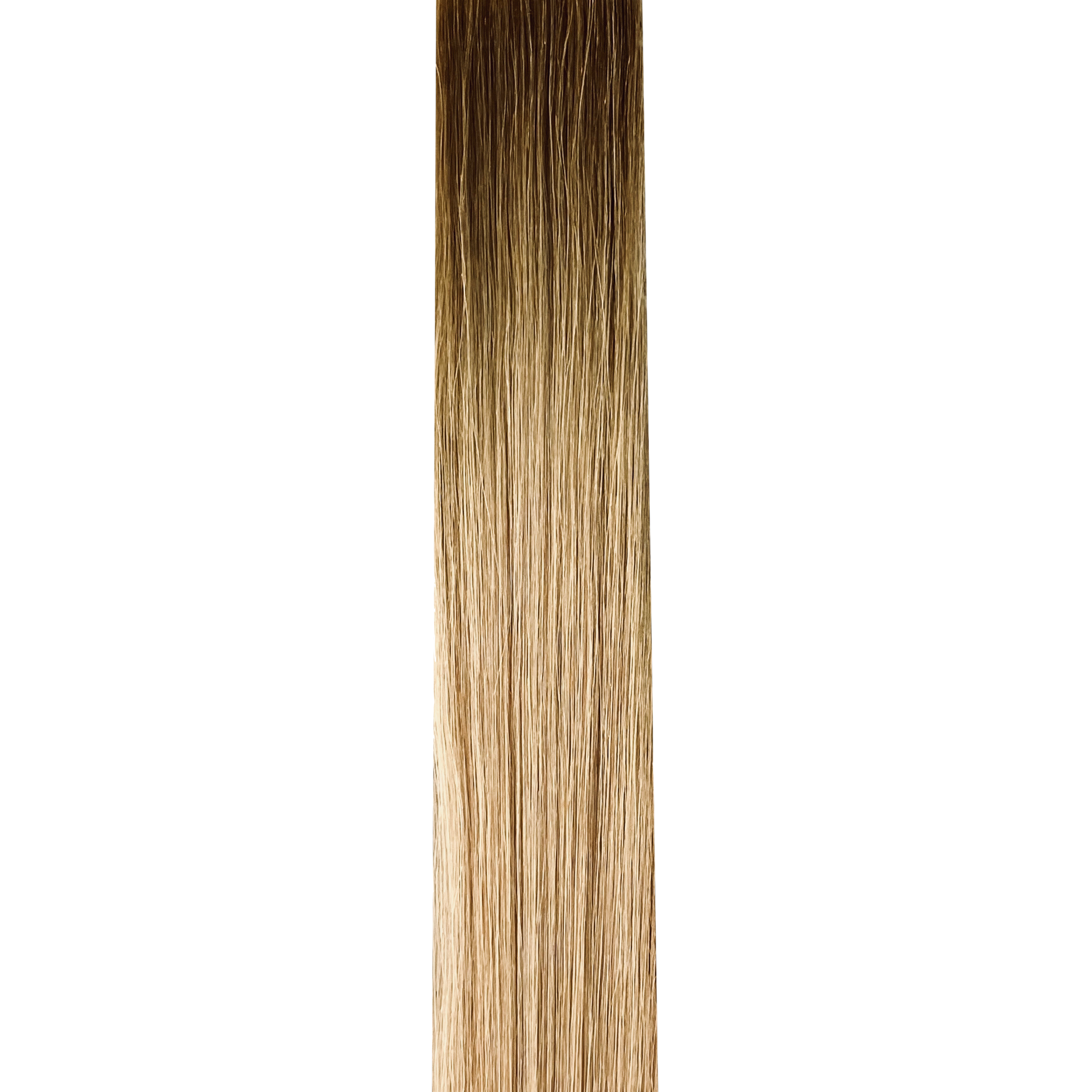 50cm | Extensiones de cinta regulares | No. 06/24 Color de raíz
